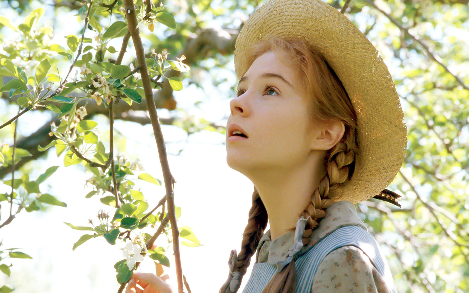 netflix-greenlights-anne-of-green-gables-show-fame-focus